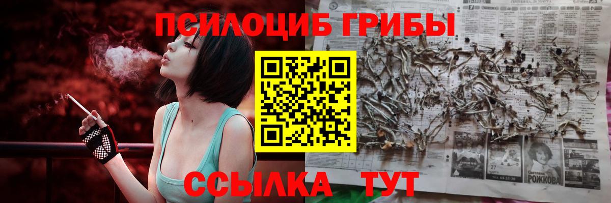 Воронеж  что такое   Псилоцибиновые грибы GOLDEN TEACHER  Вход с VPN  Псилоцибиновые грибы Psilocybe 